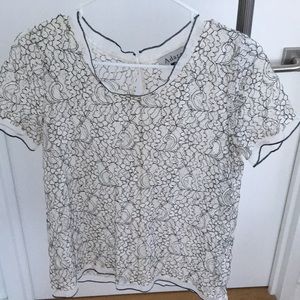 Beautiful Sheer Lace Top